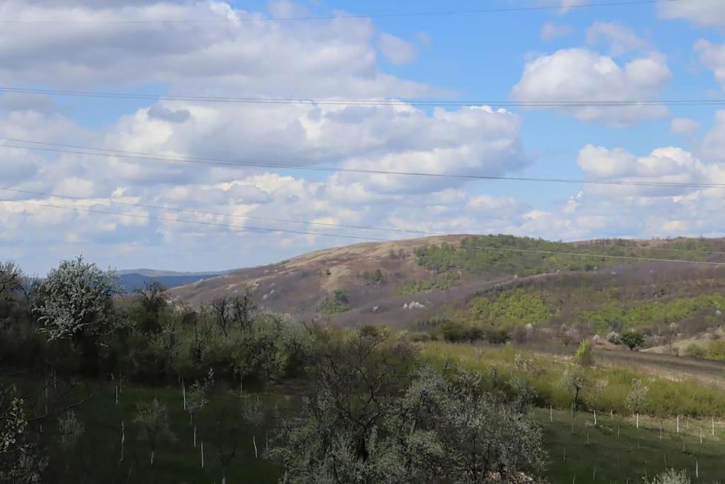 Salas U Bregu In Cheile Carasului Crasova ภายนอก รูปภาพ