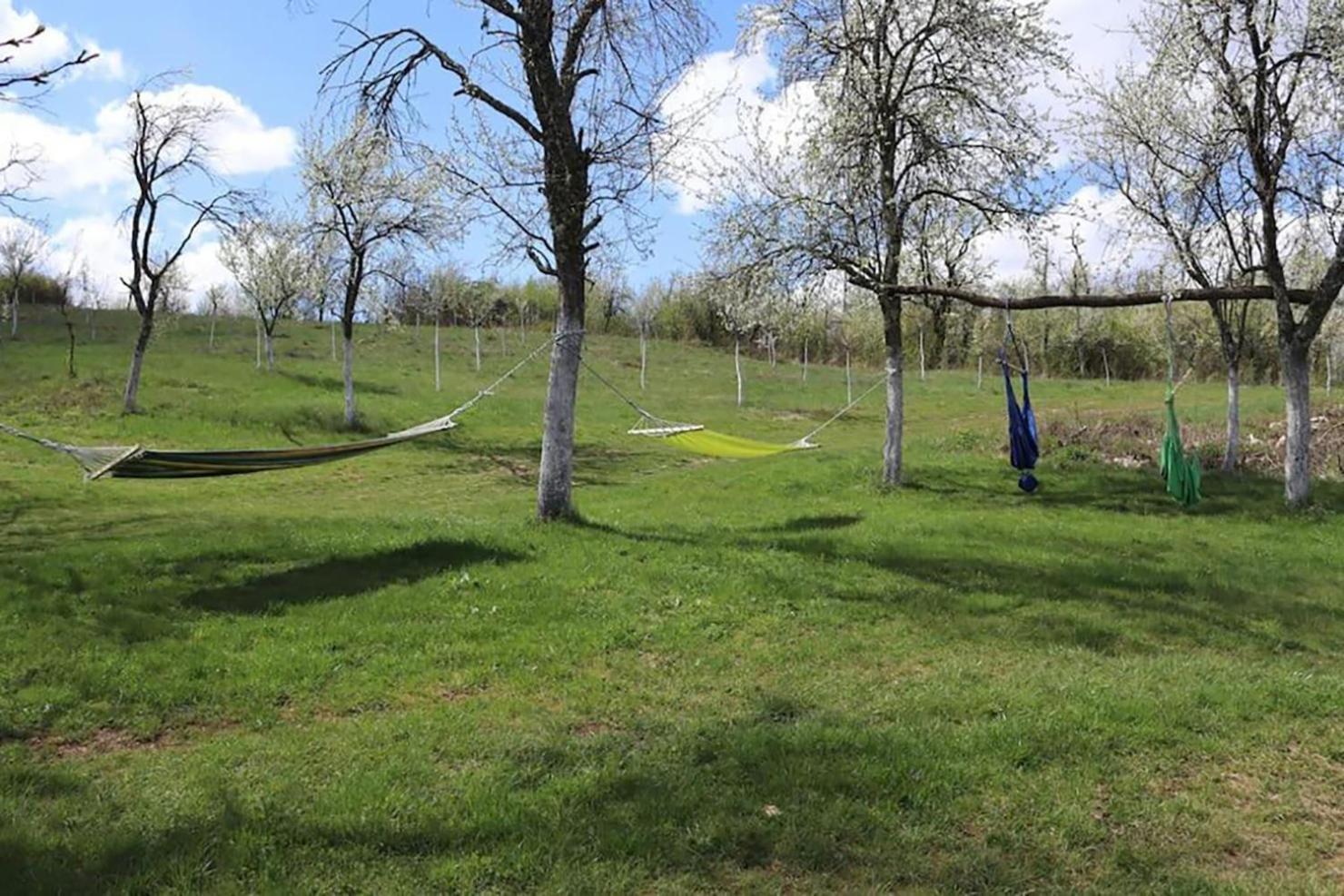 Salas U Bregu In Cheile Carasului Crasova ภายนอก รูปภาพ