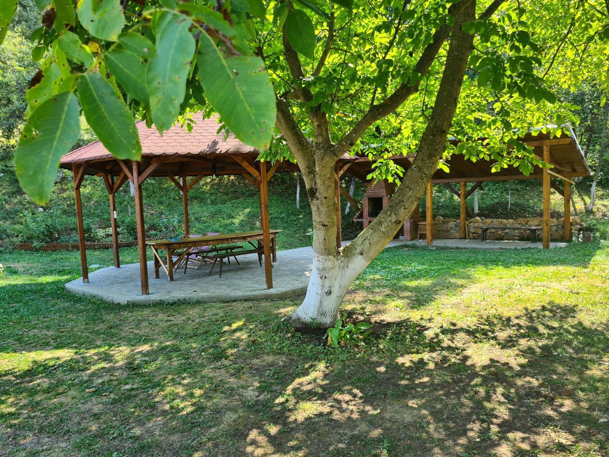 Salas U Bregu In Cheile Carasului Crasova ภายนอก รูปภาพ